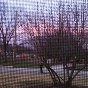 Meet your Posher, Veronica